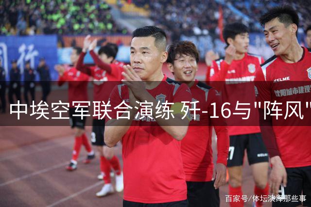 中埃空军联合演练 歼-16与"阵风"同场竞技