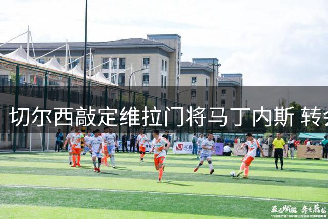 切尔西敲定维拉门将马丁内斯 转会费875万欧元