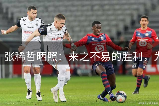张稀哲晒照：来之不易的胜利，为什么我翻广告牌没别人好看？